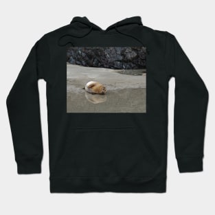 I Want to Go Back Into the Sea Now Hoodie